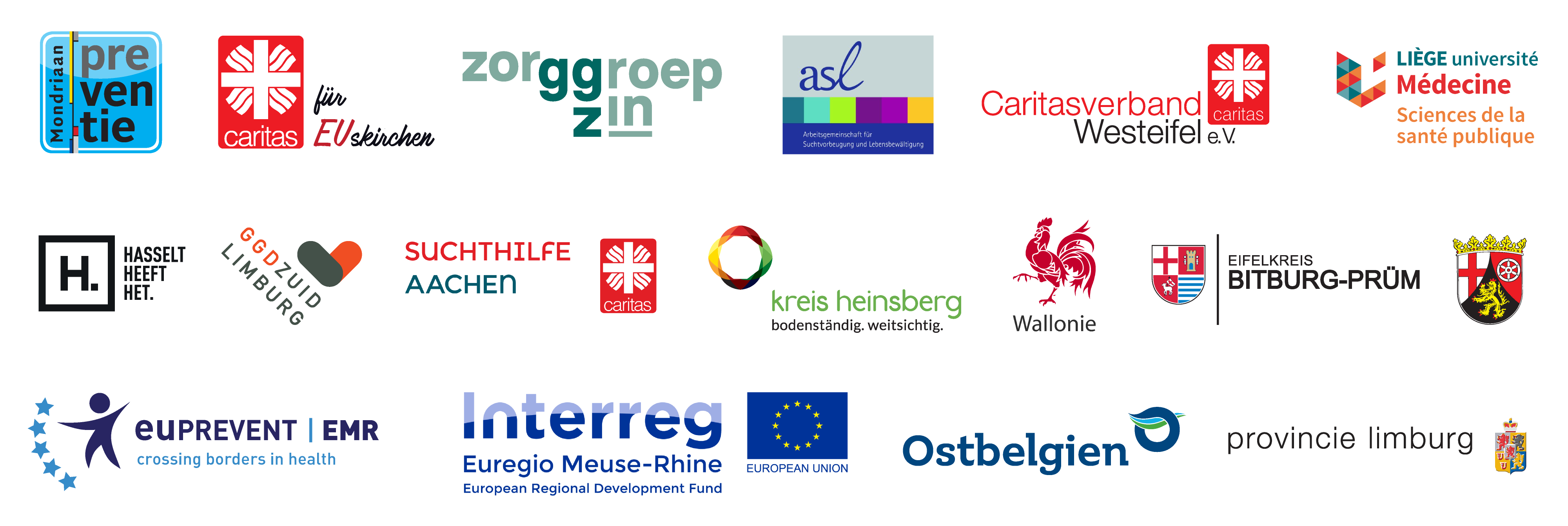 Eine Sammlung von Logos verschiedener europäischer Gesundheitsorganisationen, Universitäten und regionaler Behörden, die in vier Reihen vor einem weißen Hintergrund angeordnet sind.