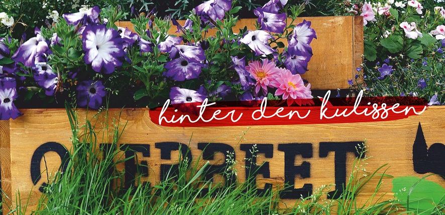 Pflanzkästen aus Holz, gefüllt mit violetten und weißen Blumen und Grünzeug; der deutsche Satz "hinter den kulissen" ist in Kursivschrift quer über das Bild geschrieben.