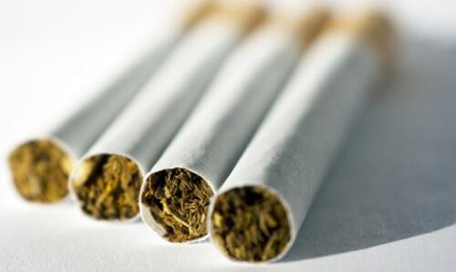 Nahaufnahme von vier gedrehten Zigaretten oder Joints, die nebeneinander auf einer weißen Fläche liegen, wobei die Enden zur Kamera zeigen und die Tabak- oder Kräuterfüllung sichtbar ist.