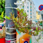 Eine farbenfrohe Blechdose, in der Pflanzen wachsen, hängt an einem mit Aufklebern und Graffiti bedeckten Pfahl in einer Stadtstraße, mit einem Wohnhaus und einem Parkverbotsschild im Hintergrund.