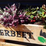 Auf einer roten Fensterbank stehen bunte, recycelte Blechdosen, die als Blumentöpfe verwendet werden, mit einer Vielzahl von grünen und weißen Pflanzen und Blumen vor einem Fenster, in dem sich geparkte Autos und Gebäude spiegeln.