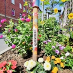 Ein buntes städtisches Gartenbeet mit verschiedenen blühenden Blumen umgibt einen Holzpfahl mit der Aufschrift Querbeet auf einem städtischen Bürgersteig. Oben auf dem Pfahl steht ein regenbogenfarbener Becher, und im Hintergrund sind Backsteinbauten zu sehen.