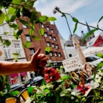 Eine Person zeigt zwischen üppigen grünen Pflanzen und roten Blumen in einem Café im Freien den Daumen nach oben. Im Hintergrund sind bei teilweise bewölktem Himmel städtische Gebäude, geparkte Autos und ein Schild mit der Aufschrift "Bollerwagen" zu sehen.
