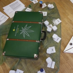 Ein grüner Koffer mit einem Cannabisblattmuster steht auf dem Holzboden, umgeben von kleinen beschrifteten Behältern, Papieren und einem dreieckigen Display mit verschiedenen Pflanzenproben und Samen.