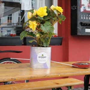 Eine gelb blühende Pflanze in einer Metalldose sitzt auf einer Holzbank im Freien. Neben der Dose liegt ein rot-silbriges Maßband. Im Hintergrund sind ein Fahrrad und ein Blumenkasten mit Blumen zu sehen.
