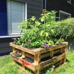 Ein erhöhtes Holzbeet aus Paletten, gefüllt mit verschiedenen blühenden Pflanzen und Sonnenblumen, steht auf einer Wiese in der Nähe einer Hecke und eines Gebäudes. Die Paletten sind mit FEUERVOGEL und QUERBEET beschriftet und mit Malereien verziert.