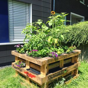 Ein erhöhtes Holzbeet aus Paletten, gefüllt mit verschiedenen blühenden Pflanzen und Sonnenblumen, steht auf einer Wiese in der Nähe einer Hecke und eines Gebäudes. Die Paletten sind mit FEUERVOGEL und QUERBEET beschriftet und mit Malereien verziert.