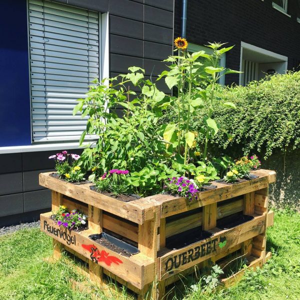 Ein erhöhtes Holzbeet aus Paletten, gefüllt mit verschiedenen blühenden Pflanzen und Sonnenblumen, steht auf einer Wiese in der Nähe einer Hecke und eines Gebäudes. Die Paletten sind mit FEUERVOGEL und QUERBEET beschriftet und mit Malereien verziert.