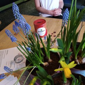 Eine Person in einem weißen T-Shirt sitzt an einem Holztisch mit blühenden Topfblumen, Papieren und einem roten Spendenglas mit der Aufschrift Queerbeit. Ein paar Münzen sind auf dem Tisch verstreut.