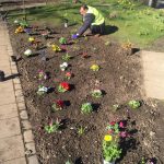 Eine Person in einer Warnweste kniet und pflanzt an einem sonnigen Tag bunte Blumen in ein Gartenbeet, in dem verschiedene Pflanzen und Blumen auf dem Boden verstreut sind. Ein Gehweg führt am Rand entlang.