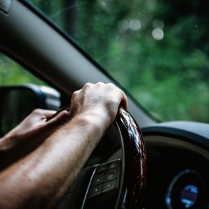 Nahaufnahme der Hände einer Person, die ein Autolenkrad ergreift, im Inneren eines Fahrzeugs, wobei durch das Fenster unscharfe grüne Bäume zu sehen sind, was darauf hindeutet, dass das Auto durch ein Waldgebiet fährt.