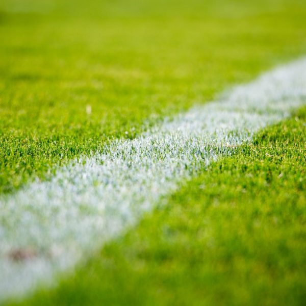 Nahaufnahme einer grünen Wiese mit einer weißen Linie, wahrscheinlich Teil eines Sportplatzes, die sich diagonal über das Bild erstreckt. Der Schwerpunkt des Fotos liegt auf der Textur des Grases und der Schärfe der Linie.
