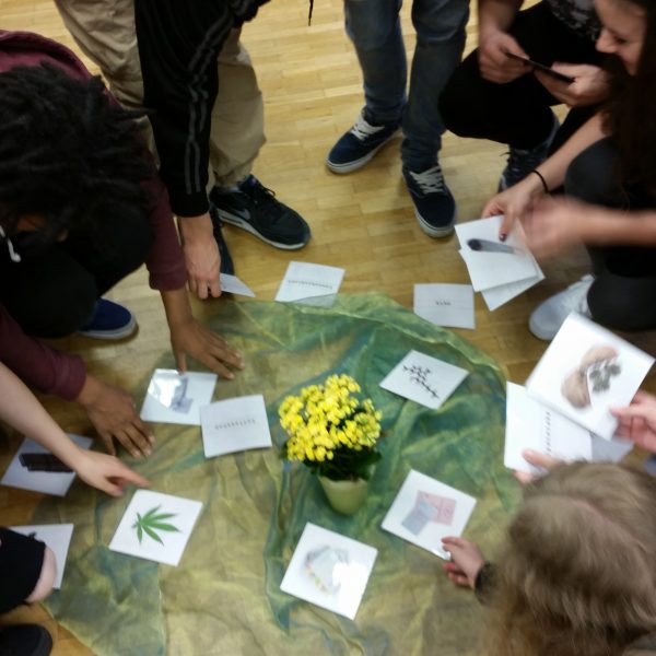 Eine Gruppe von Menschen steht und kniet im Kreis auf einem Holzboden und betrachtet und arrangiert Bildkarten um eine kleine gelbe Topfpflanze, die auf grünem Stoff steht.