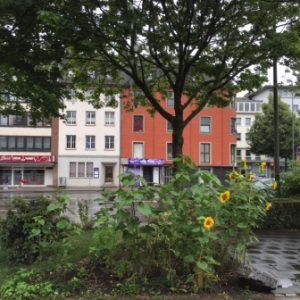 Im Vordergrund ist ein kleiner städtischer Garten mit blühenden Sonnenblumen zu sehen, während im Hintergrund ein nasser Bürgersteig, ein Baum und bunte Gebäude die Straße an einem bewölkten Tag säumen.