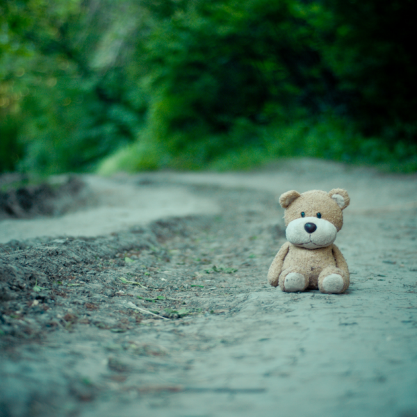 Ein kleiner brauner Teddybär sitzt allein auf einem Feldweg, umgeben von Grün, mit Bäumen und Pflanzen im Hintergrund, die ein Gefühl von Einsamkeit und Ruhe vermitteln.