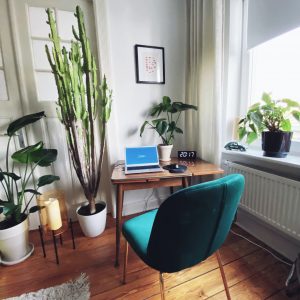 Ein gemütliches Heimbüro mit einem Holzschreibtisch, einem Laptop, einer Digitaluhr und mehreren Topfpflanzen. Am Schreibtisch steht ein tealfarbener Samtstuhl, neben einem Fenster mit durchsichtigen Vorhängen und Pflanzen auf der Fensterbank.