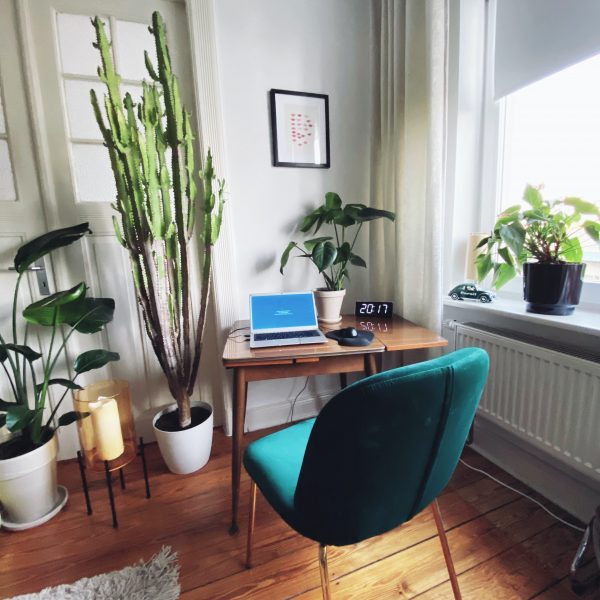 Ein gemütliches Heimbüro mit einem Holzschreibtisch, einem Laptop, einer Digitaluhr und mehreren Topfpflanzen. Am Schreibtisch steht ein tealfarbener Samtstuhl, neben einem Fenster mit durchsichtigen Vorhängen und Pflanzen auf der Fensterbank.