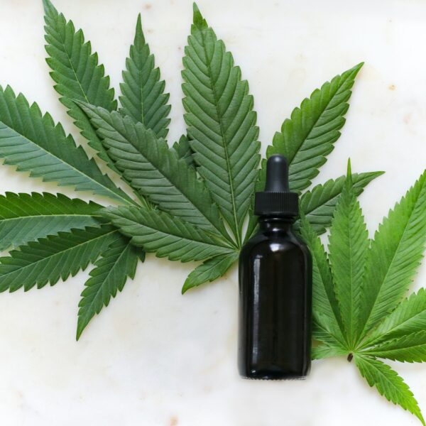 Eine schwarze Tropfflasche steht auf einer weißen Fläche, umgeben von mehreren grünen Cannabisblättern.