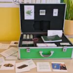 Auf einem Tisch steht ein grün-silberner Koffer mit Informationsbroschüren, kleinen Gläsern, Karten und zwei Waagen. Auf dem Tisch liegen weitere Bildungskarten und eine rote Waage, im Hintergrund stehen eine Topfpflanze und ein Fenster.
