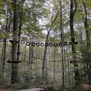 Ein hölzerner Picknicktisch steht auf einer Waldlichtung. Oben hängt ein Hochseilgarten mit hängenden Reifen und Seilen zwischen hohen Bäumen, umgeben von grünem Laub und gefallenen Blättern.