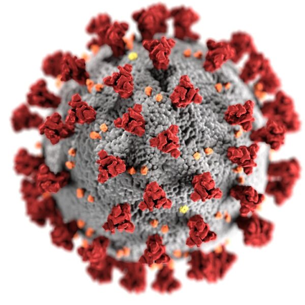 Eine 3D-Darstellung des Coronavirus (SARS-CoV-2) mit einem grauen, kugelförmigen Viruspartikel, der mit roten Spike-Proteinen und verstreuten orangefarbenen Strukturen bedeckt ist, auf einem weißen Hintergrund.
