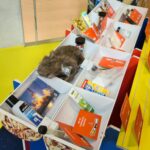 Ein farbenfroher Aufsteller mit Fächern, in denen verschiedene Gegenstände wie ein Kunstpelzobjekt, kleine Flaschen, ein Klebestift und Postkarten aufbewahrt werden. Eine Person auf der rechten Seite nimmt eine orangefarbene Karte aus der Auslage.