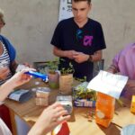 Mehrere Personen versammeln sich um einen Tisch mit Setzlingen, die in recycelte Saftkartons und Behälter gepflanzt wurden. Eine Person untersucht ein Rohr, während andere nach Gegenständen greifen. Im Hintergrund sind ein Poster und eine Wand zu sehen.