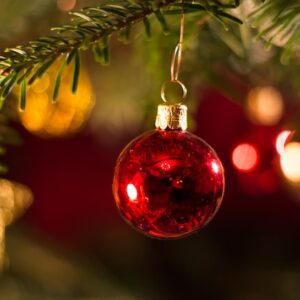 Ein rotes Ornament von einem Baum.