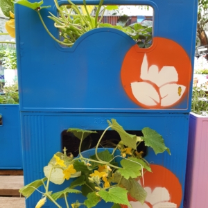 Zwei blaue Kisten mit orangefarbenen und weißen Blumen sind übereinander gestapelt. Durch die Löcher und Öffnungen in den Kisten wachsen grüne Pflanzen mit gelben Blüten.