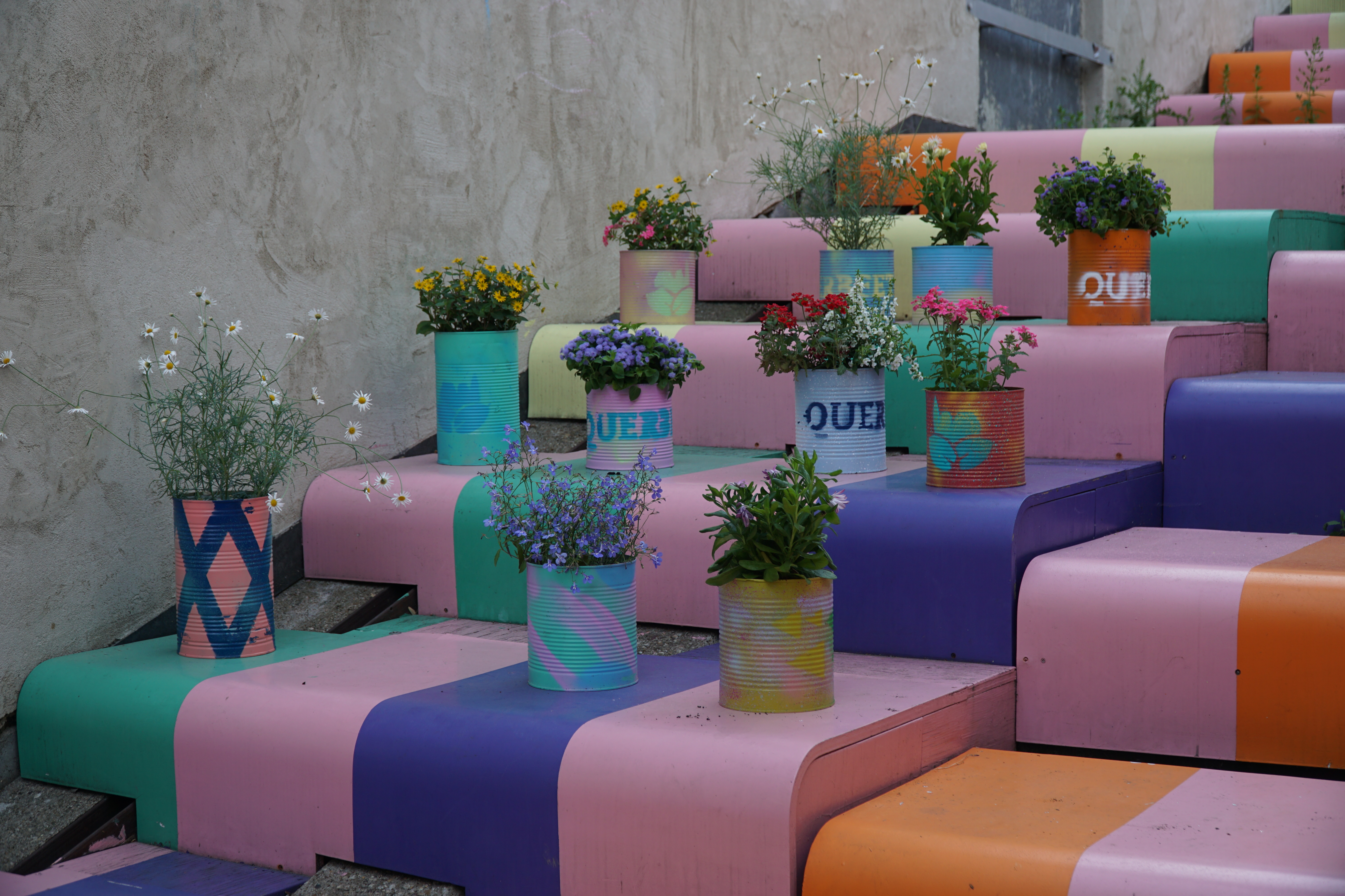 Bunt bemalte Stufen mit verschiedenen bunten Topfblumen in verzierten Dosen auf jeder Stufe vor einer schlichten beigen Wand.