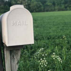 Ein weißer Briefkasten mit der Aufschrift MAIL steht auf einem Holzpfosten vor einem grünen Feld mit Wildblumen, mit Bäumen und einem blauen Himmel im Hintergrund.