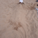 Eine Person ist am Strand unter Sand begraben, nur ihr Kopf liegt frei, sie trägt eine weiße Kappe. Kleidung und eine Plastikflasche liegen in der Nähe im Sand.